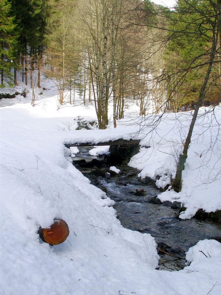 Petit cour d'eau en hiver, le Rondché - Kruth