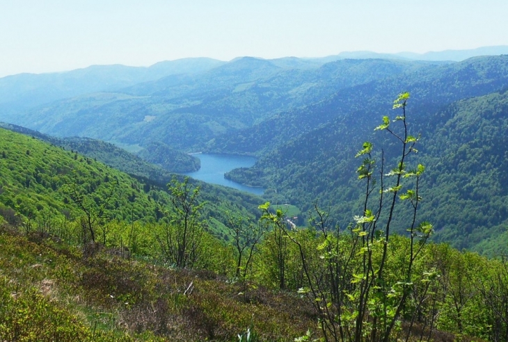 Lac de Kruth - Wildenstein.vu du Rothenbachkopf -1315m