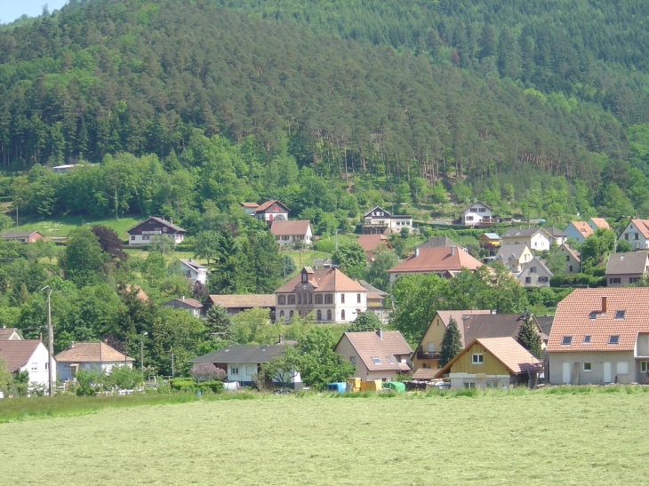 Luttenbach vue générale - Luttenbach-près-Munster