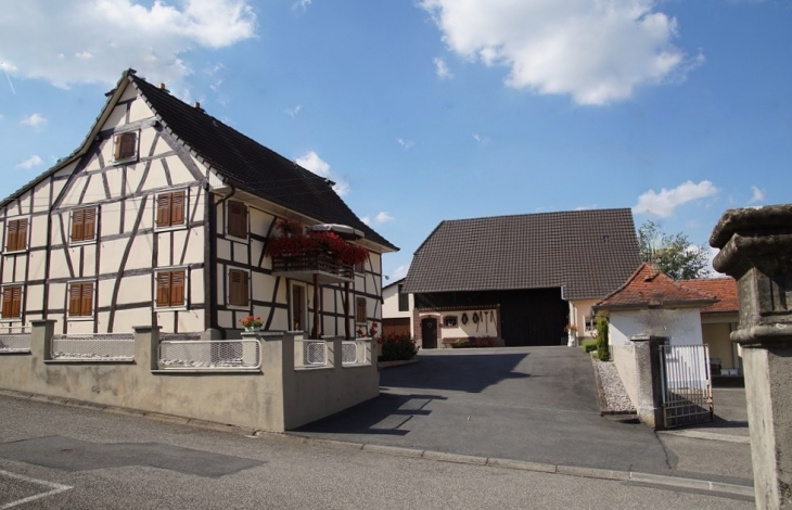 Le Village - Michelbach-le-Haut