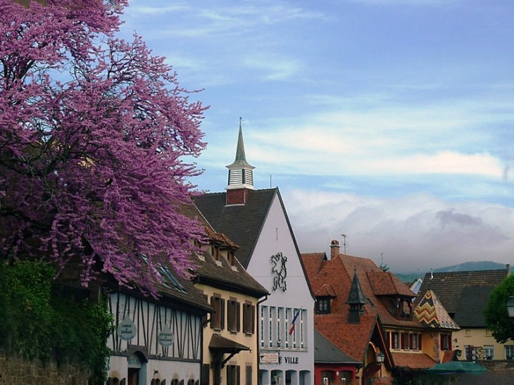 Dans la ville - Mittelwihr