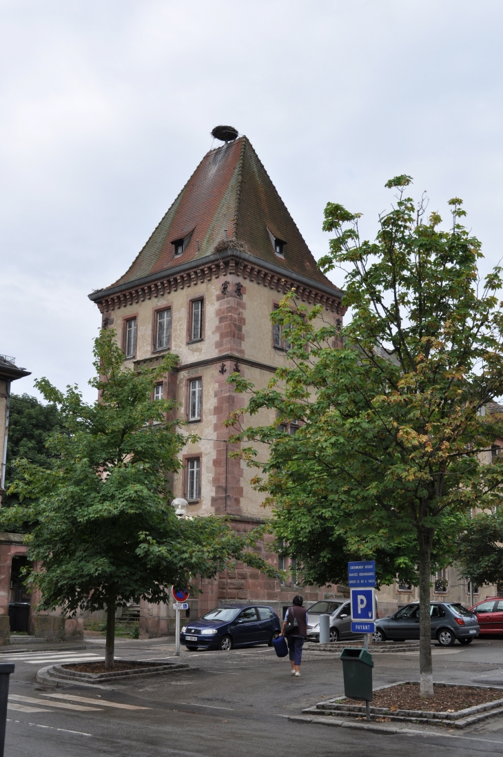 La tour aux cigognes - Munster