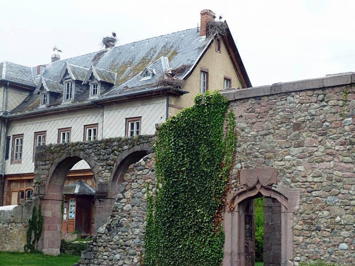 Les ruines de l'abbaye - Munster