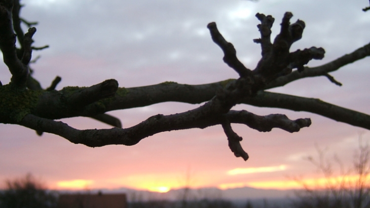 Couché de soleil sur Obermorschwihr