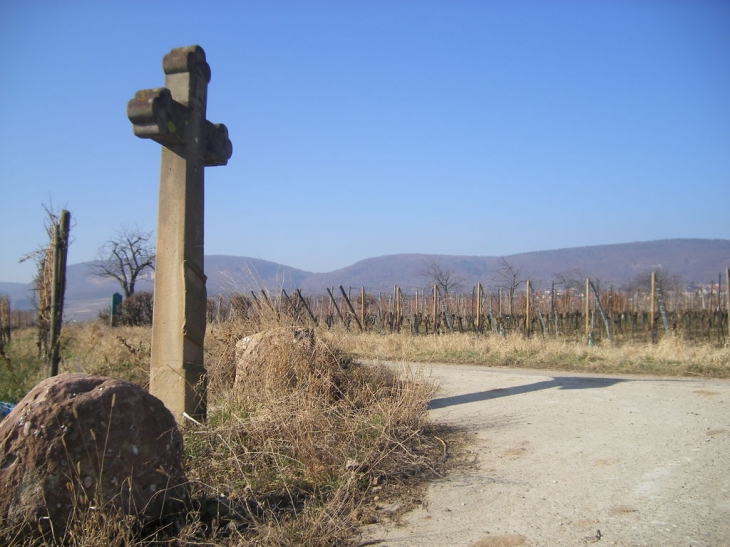 Le vignoble - Obermorschwihr