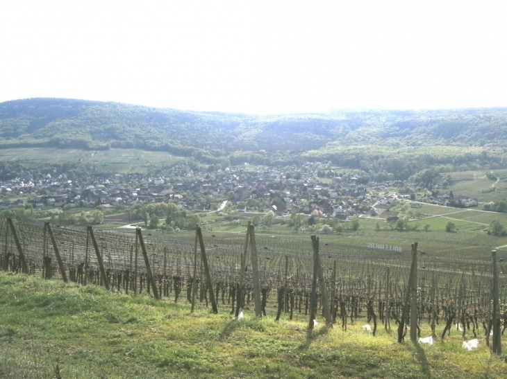 Vue du village du haut du bollenberg - Orschwihr