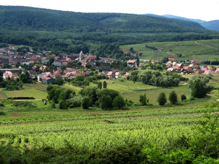 Le village vu de la colline du Bollenberg - Orschwihr