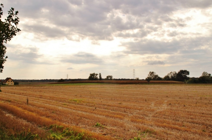 La Campagne - Ottmarsheim