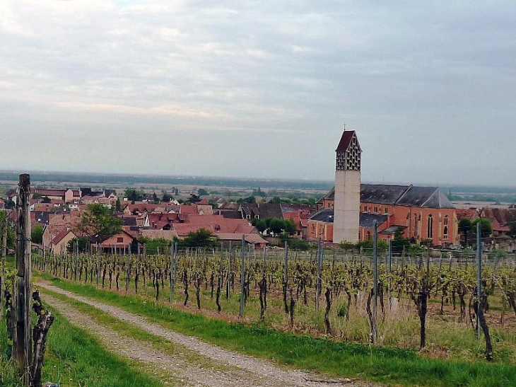 Vue sur le village et l'église - Pfaffenheim