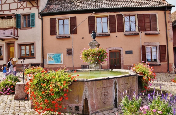 Fontaine - Pfaffenheim