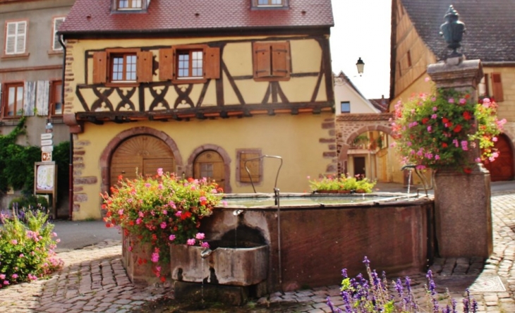 Fontaine - Pfaffenheim