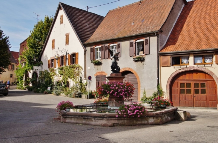 Fontaine - Pfaffenheim