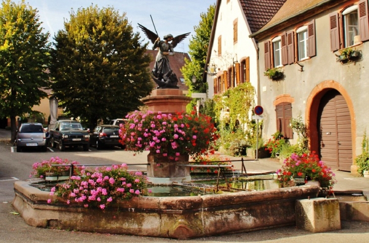 Fontaine - Pfaffenheim