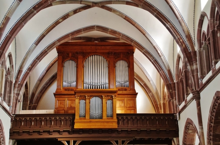 église St Martin - Pfaffenheim