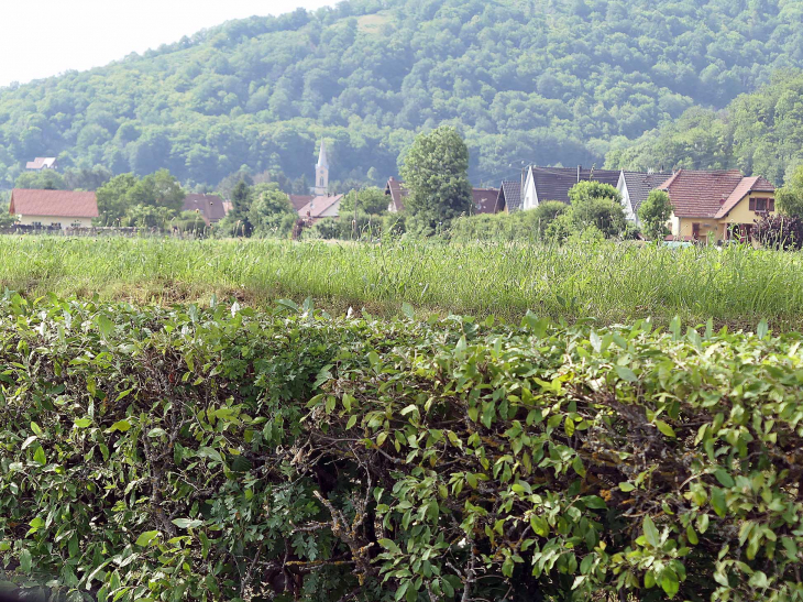 Vue sur le village - Ranspach