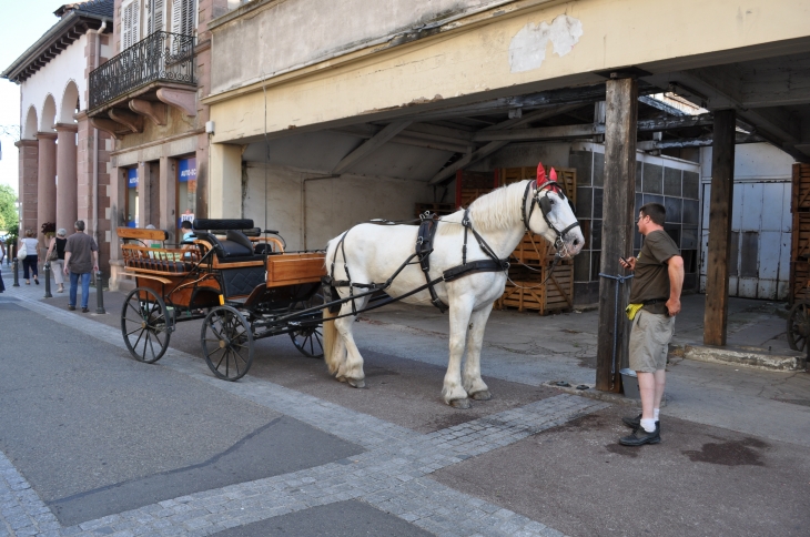 Promenade en calèche dans la Grand'Rue - Ribeauvillé