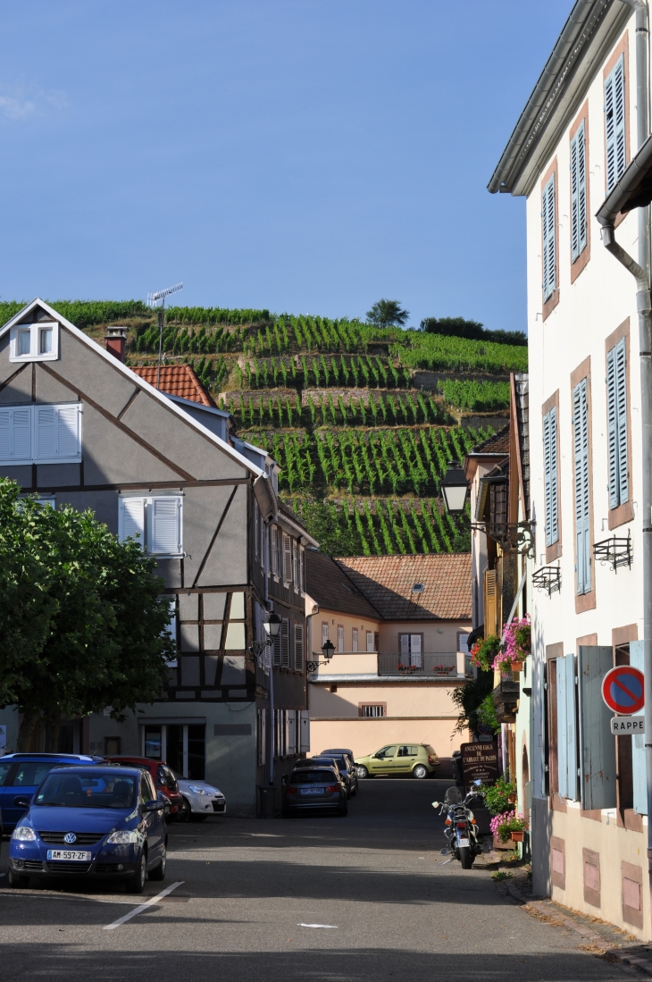 Vue sur le vignoble - Ribeauvillé