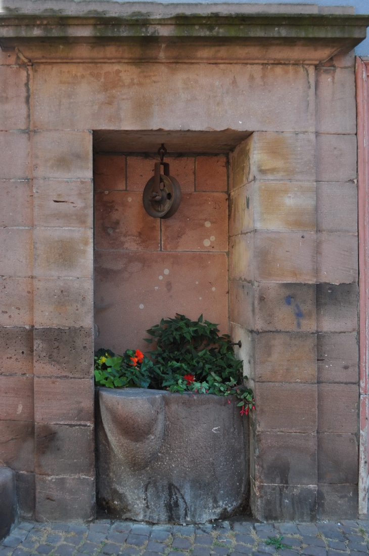 Le puits à l'angle de la rue de la Fraternité et de la rue du Temple - Ribeauvillé