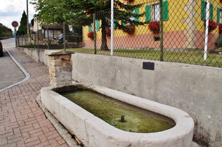 Fontaine Abreuvoir - Riespach