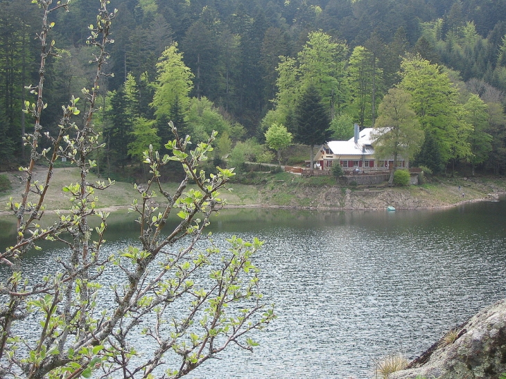  - Rimbach-près-Masevaux