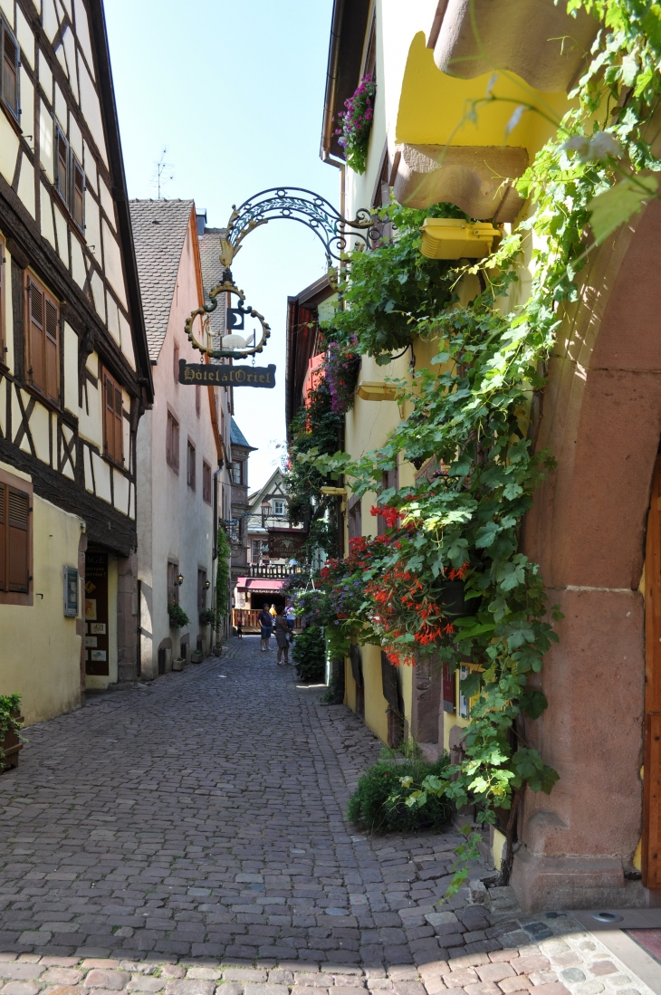 La Rue des Ecuries Seigneuriales - Riquewihr