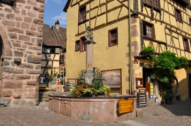 Fontaine près du Dolder - Riquewihr