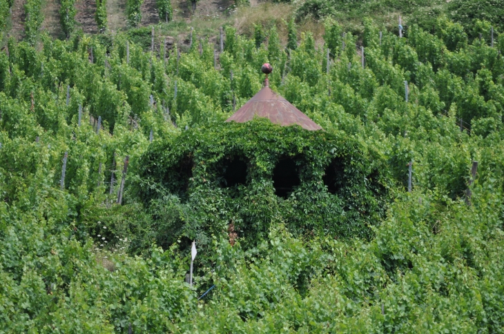 Gloriette dans les vignes - Riquewihr