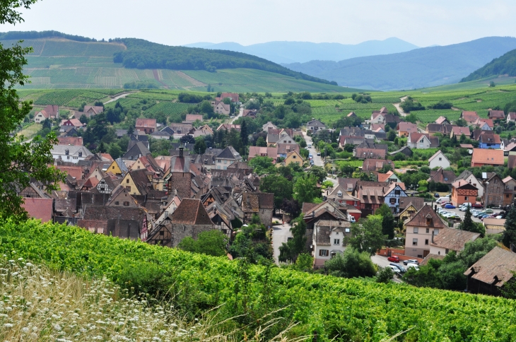 Le village - Riquewihr