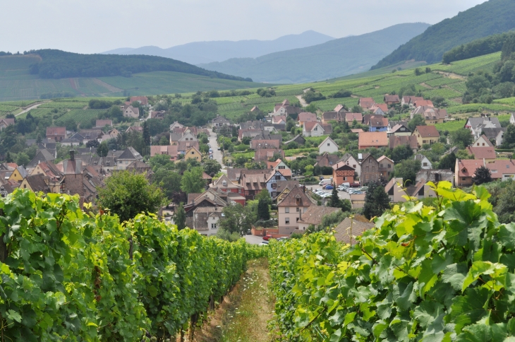 Le village - Riquewihr