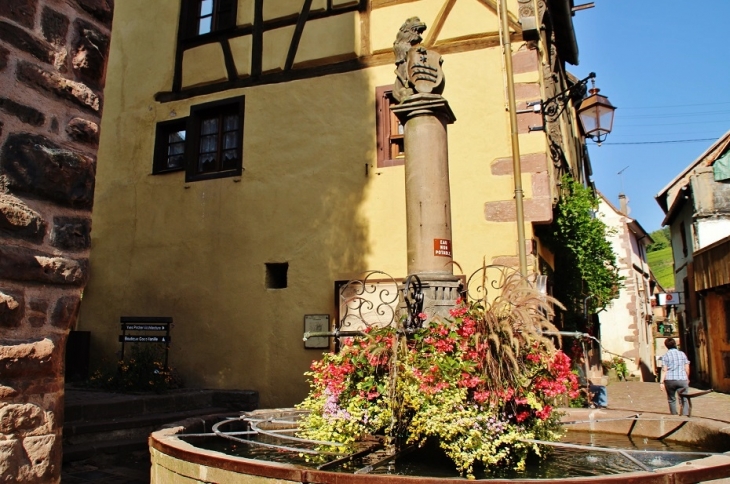 Fontaine - Riquewihr