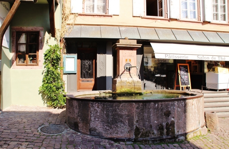 Fontaine - Riquewihr