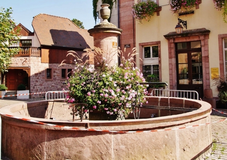 Fontaine - Riquewihr