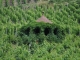 Photo suivante de Riquewihr Gloriette dans les vignes