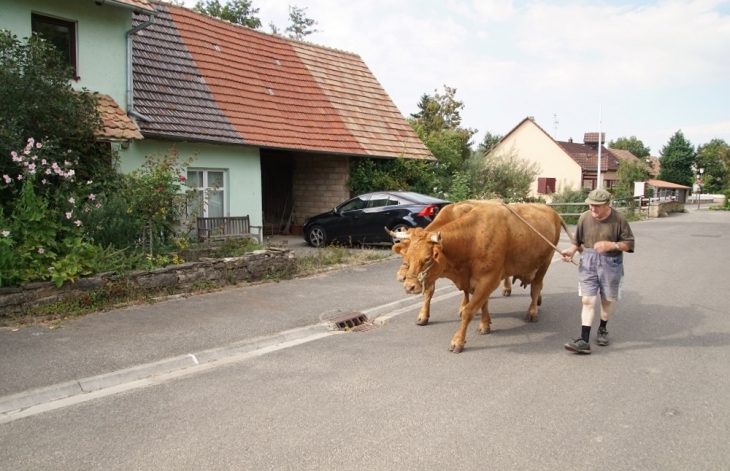 Le Village - Schwoben