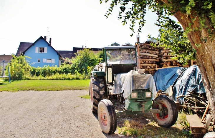 Le Village - Seppois-le-Haut