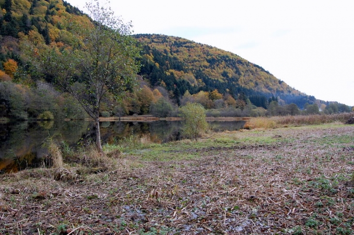 Lac de Sewen