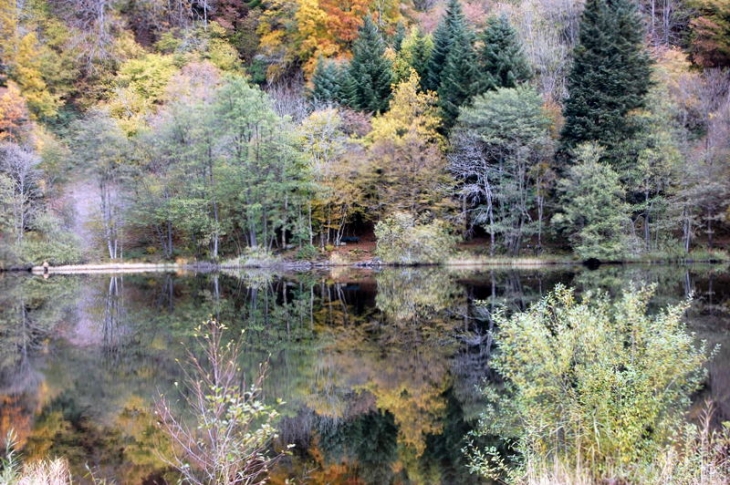 Lac de Sewen