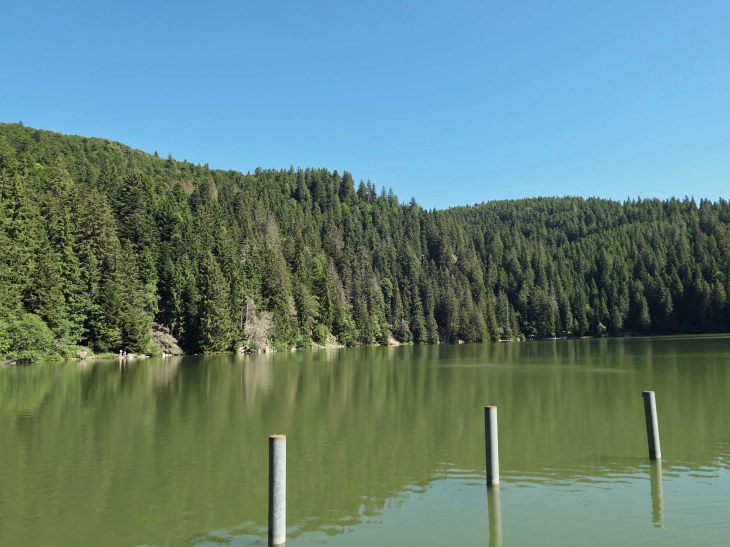 Le lac vert - Soultzeren