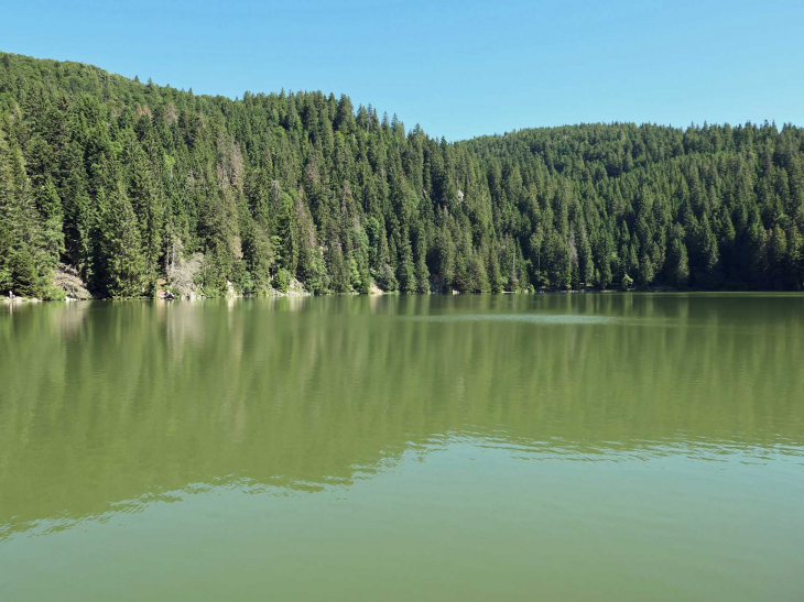 Le lac vert - Soultzeren