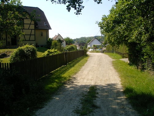 Rue des aulnes avant la mise du macadam - Steinbrunn-le-Haut