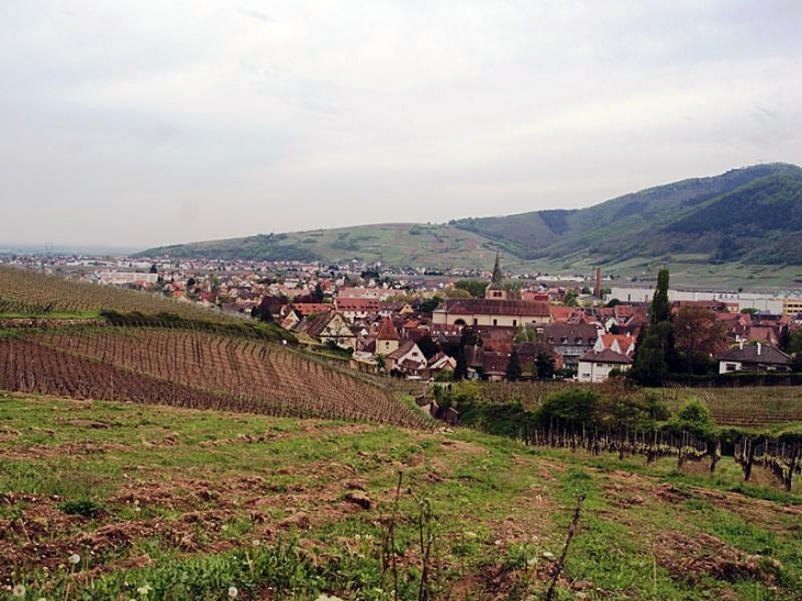 Vue sur le village - Turckheim