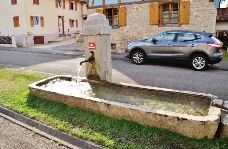 Fontaine - Vieux-Ferrette