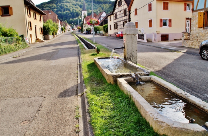 Fontaine - Vieux-Ferrette