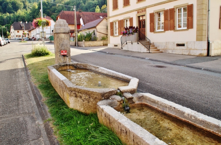 Fontaine - Vieux-Ferrette