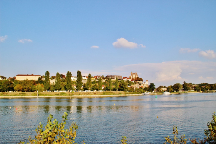 Le Rhin - Vogelgrun