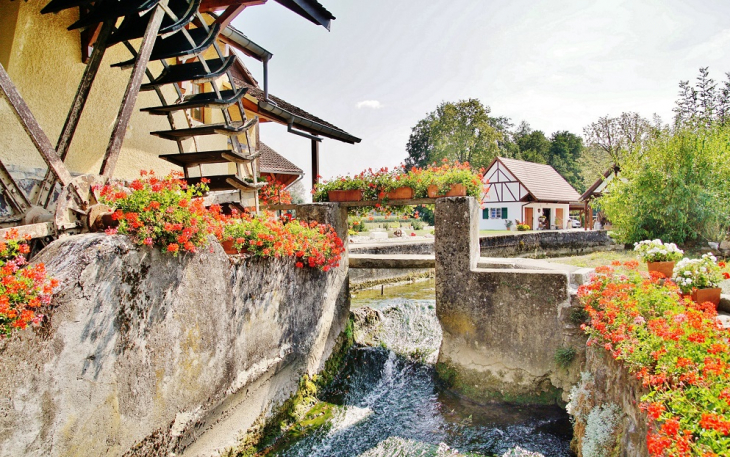 Moulin - Werentzhouse