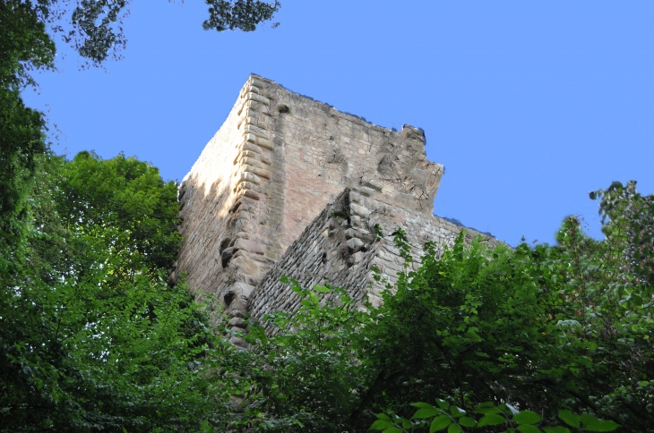 Le Château du Hagueneck - Wettolsheim