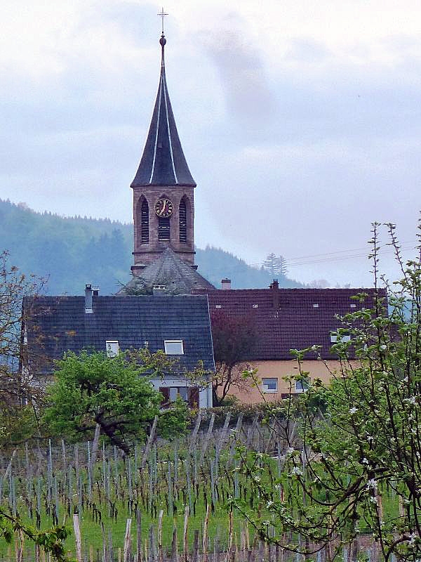 Vue sur le centre - Wihr-au-Val