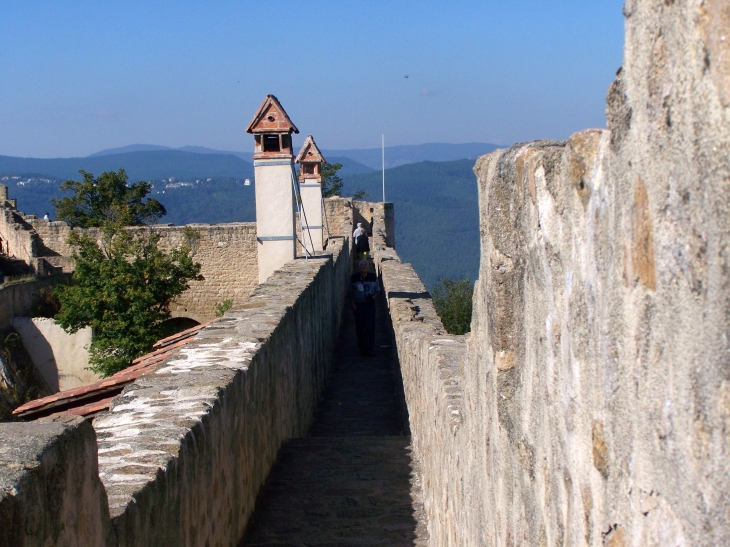 Le Château du Hohlandsbourg - Wintzenheim