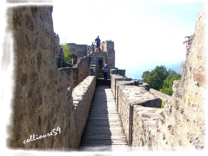 Le Château du Hohlandsbourg - Wintzenheim